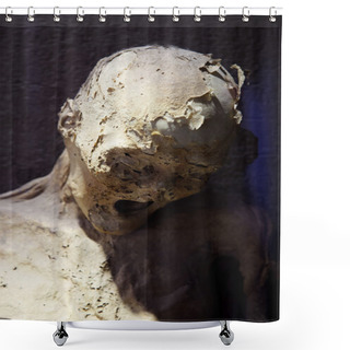 Personality  Guanajuato Mummy Shower Curtains