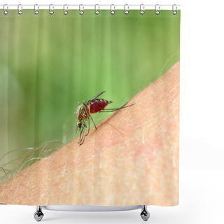 Personality  Mosquito Drinks Blood Shower Curtains