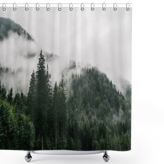 Personality  Misty Landscape With Fir Forest And Mountains In Fog Early Rainy Morning, Bavarian Alps, Germany Shower Curtains