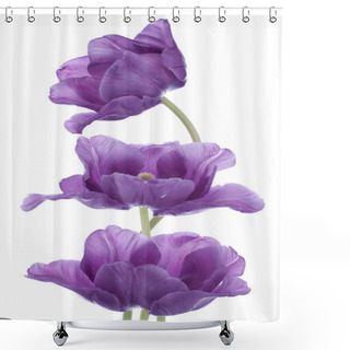 Personality  Tulip Shower Curtains
