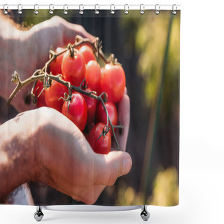 Personality  Farmer Holding Tomatoes Shower Curtains