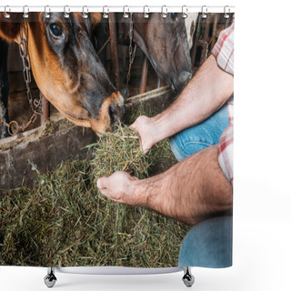 Personality  Farmer Feeding Cows In Stall Shower Curtains