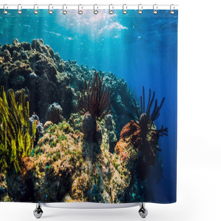 Personality  Exotic Underwater World With Corals And Fish In Tropics Shower Curtains