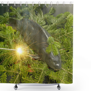 Personality  Czech Christmas Tradition (Christmas Carp) Shower Curtains