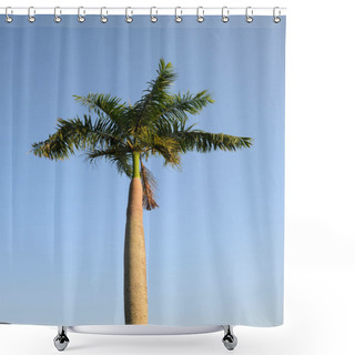 Personality  Foxtail Palm Tree In The Wind With Blue Sky Background Shower Curtains