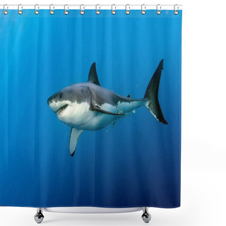 Personality  Great White Shark Ready To Attack Shower Curtains