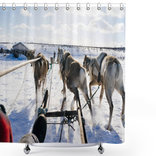 Personality  Dog Team On The Background Of A Snow-covered Road On A Sunny Day Shower Curtains
