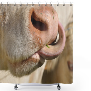 Personality  Greedy Cow Shower Curtains