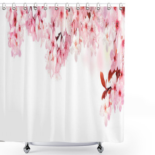 Personality  Dreamy Cherry Blossoms Isolated On White Shower Curtains