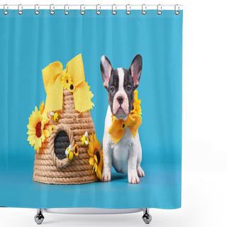 Personality  Pied Tan French Bulldog Dog Puppy Ribbon Collar Sitting Next To Beehive On Blue Background Shower Curtains