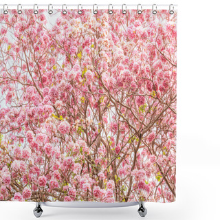 Personality  Tabebuia Rosea Pink Flowers Shower Curtains