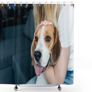 Personality  Partial View Of Young Woman Sitting On Couch And Stroking Beagle Dog Shower Curtains