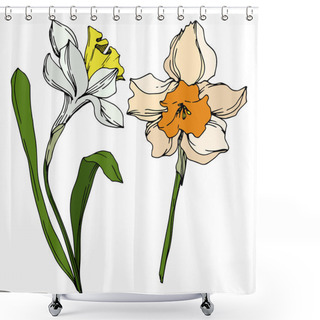 Personality  Vector Narcissus Floral Botanical Flower. Black And White Engraved Ink Art. Isolated Narcissus Illustration Element. Shower Curtains