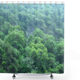 Personality  Steep Central American Jungle Landscape Shower Curtains