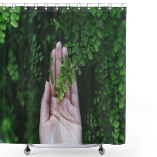 Personality  Green Leaves Shower Curtains
