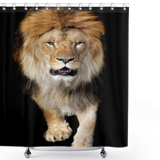 Personality  Lion Portrait Shower Curtains