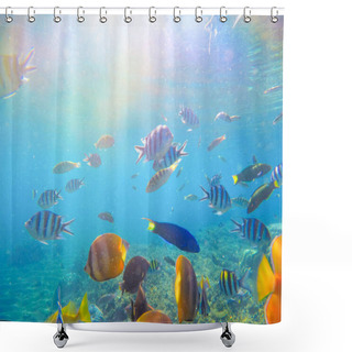 Personality  Underwater Landscape With Tropical Fish And Sunlight. Exotic Island Lagoon With Oceanic Life. Shower Curtains