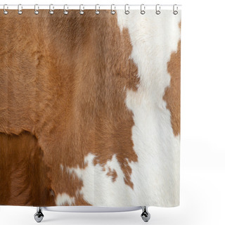 Personality  Fur Carpet Shower Curtains