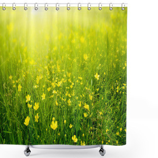 Personality  Field Of Spring Flowers And Sunlight Shower Curtains
