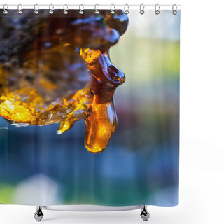Personality  Solid Amber Resin Drops On A Cherry Tree Trunk. Shower Curtains