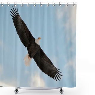 Personality  Flying Bald Eagle. Shower Curtains