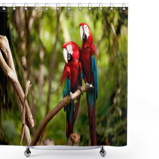 Personality  Colorful Scarlet Macaw Perched On A Branch Shower Curtains