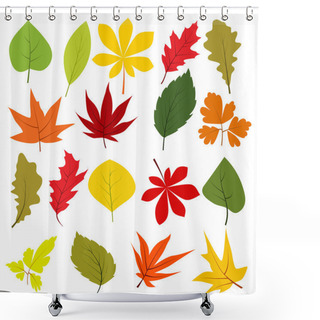 Personality  Collection Of Different Autumn Leaves Shower Curtains