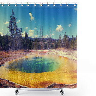 Personality  Morning Glory Pool Shower Curtains