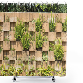 Personality  Concrete Wall With Plants Shower Curtains
