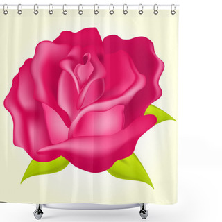 Personality  Beautiful Rose  Vector Illustration  Shower Curtains