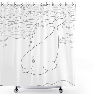 Personality  Beluga Whale Swimming Among Drifting Ice Floes In A Polar Sea, Black And White Vector Illustration In A Cartoon Style For A Coloring Book Shower Curtains