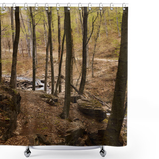 Personality  River Stream Waterfall In Forest Landscape, Tranquil Waterfall Scenery In The Middle Of Green Forest Shower Curtains