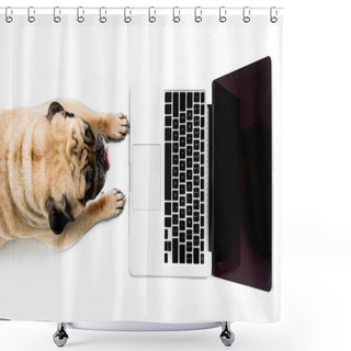 Personality  Pug Dog With Laptop Shower Curtains