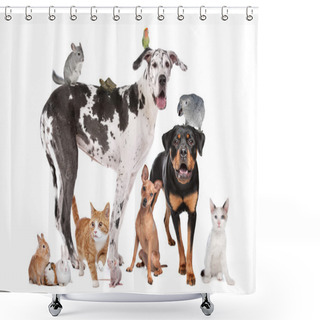 Personality  Pets In Front Of A White Background Shower Curtains