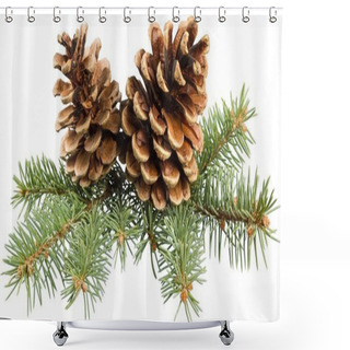 Personality   Pine Cones With Branch  Shower Curtains