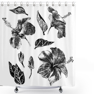 Personality  Hand Drawn Hibiscus Leaves, Flowers And Buds Shower Curtains