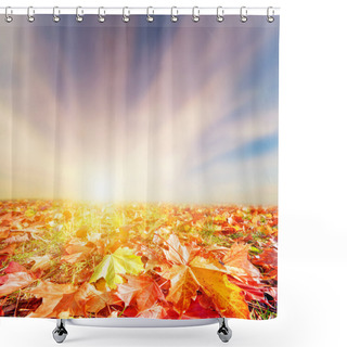 Personality  Autumn, Fall Landscape. Colorful Leaves, Sunset Sky Shower Curtains