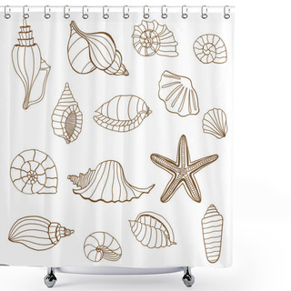 Personality  Sea Shells. Brown And White Shower Curtains
