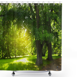 Personality  Park Shower Curtains