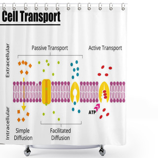Personality  Passive Vs Active Cell Transport. Vector Illustration. Didatic Illustration. Shower Curtains