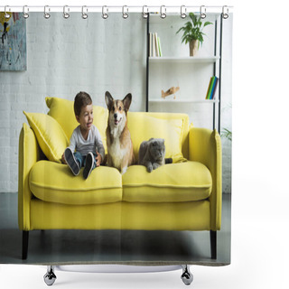 Personality  Adorable Boy With Welsh Corgi Dog And Scottish Fold Cat Sitting On Yellow Sofa At Home Shower Curtains