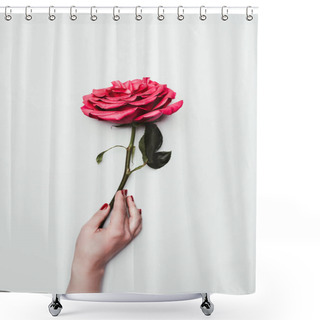 Personality  Female Hand Holding Rose Flower Isolated On White Shower Curtains