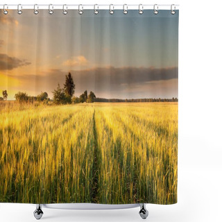 Personality  Sunset Over Grain Field Shower Curtains