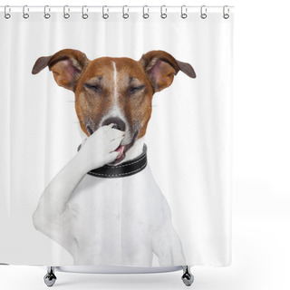 Personality  Dog Laughing At A Joke Shower Curtains