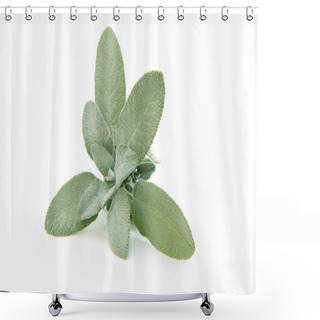 Personality  SAGE Shower Curtains