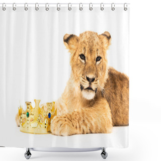 Personality  Cute Lion Cub Near Golden Crown Isolated On White Shower Curtains