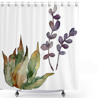 Personality  Exotic Tropical Hawaiian Botanical Succulents. Watercolor Background Illustration Set. Isolated Succulents Illustration Elements. Shower Curtains