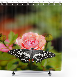 Personality  Beautiful Spotted Butterfly On A Pink Rose Flower Shower Curtains