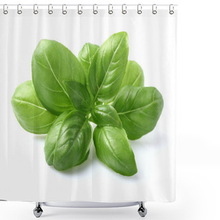 Personality  Basil Leaves In Closeup Shower Curtains