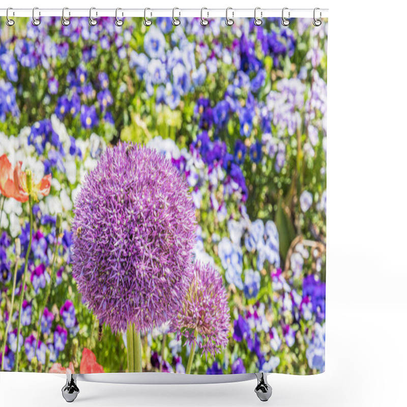 Personality  Bed Of Colorful Spring Flowers In A Landscape Park, Focus On The Big Blossom Of Persian Onion (allium Cristophii) With Bees  Shower Curtains
